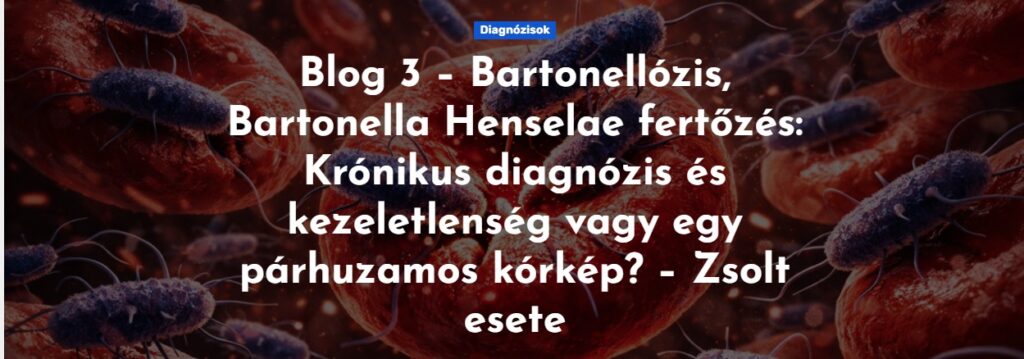 Krónikus bartonellózis, Bartonella Henselae fertőzés - Viczena Zsolt esete.