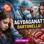 Agydaganat helyett a valódi diagnózis Bartonella henselae fertőzés