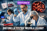 Bartonella tesztek folynak egy kutatói laboratóriumban. Bartonella PCR és szerológiai tesztek, Warthin-Starry festés.