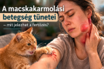 Teljes lista - Összefoglaló cikk a macskakarmolási betegség tüneteiről.