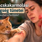 Teljes lista - Összefoglaló cikk a macskakarmolási betegség tüneteiről.