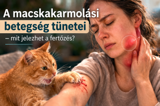 Teljes lista - Összefoglaló cikk a macskakarmolási betegség tüneteiről.